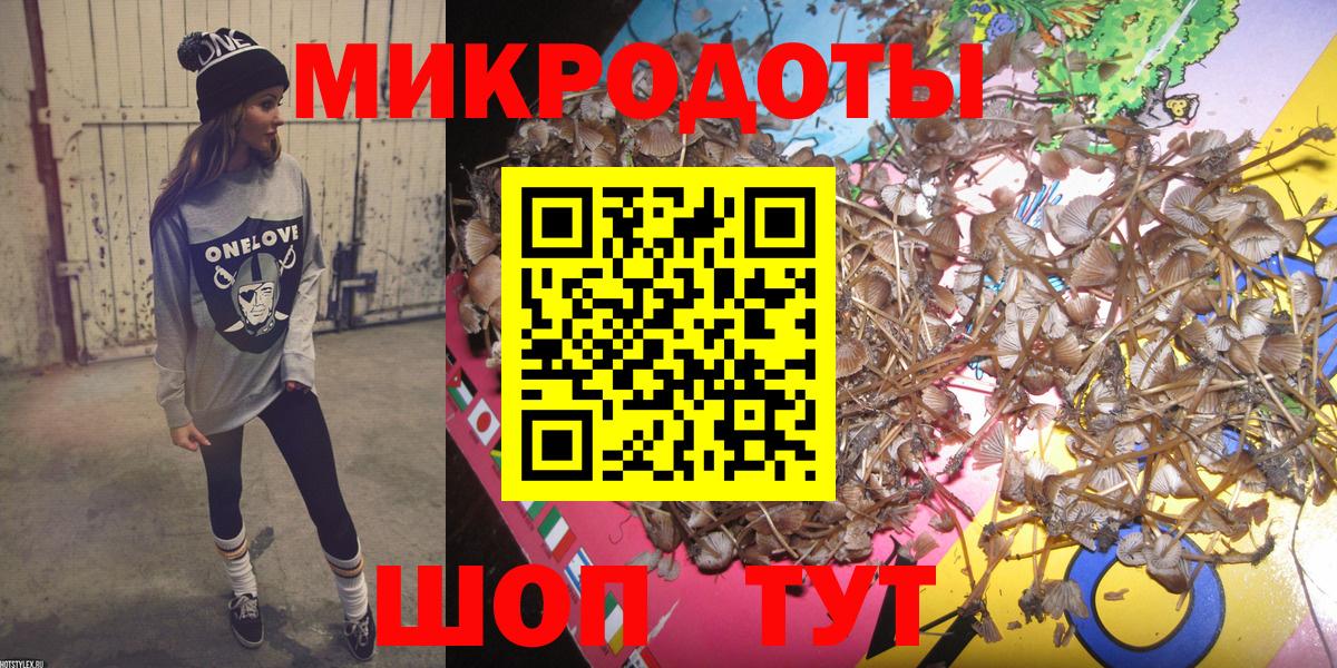 Псилоцибиновые грибы Psilocybe Тейково