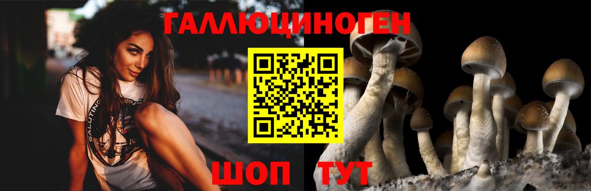 Псилоцибиновые грибы прущие грибы  Псилоцибиновые грибы MAGIC MUSHROOMS  Вход с VPN  Тейково 